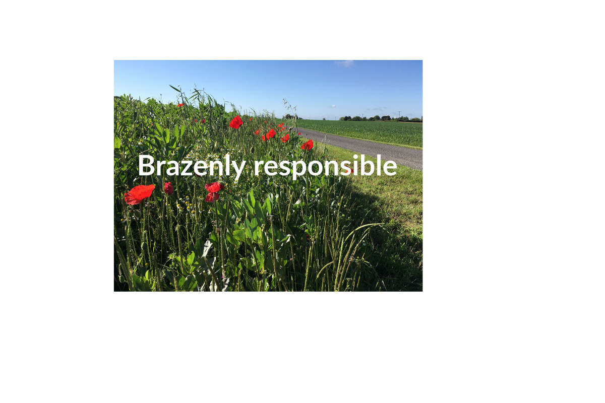 Responsible company uniform and sustainable
