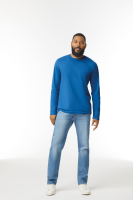 Softstyle Long Sleeve T Shirt