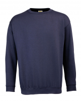 Set-In Sleeve Sweatshirt Set-In Sleeve Sweatshirt