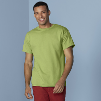 Ultra Cotton Adult T shirt