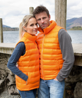 Womens Ice Bird Padded Gilet