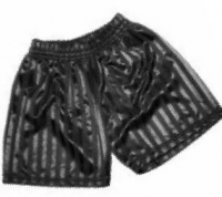Shadow Stripe Shorts