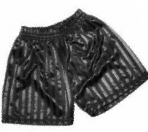 Shadow Stripe Shorts