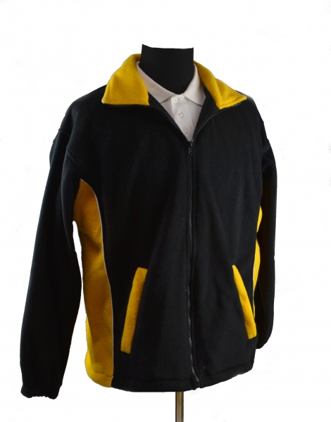 Black and yellow 2.jpg